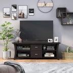 Lynarra Contemporary 2-Drawer TV Console with Open Shelving by