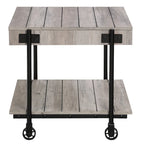 Hyssop Farmhouse Steel 2-Piece Coffee Table Set with Shelf by