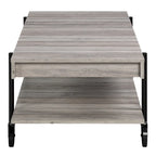 Hyssop Farmhouse Steel 2-Piece Coffee Table Set with Shelf by