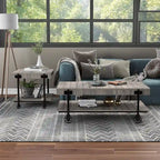 Hyssop Farmhouse Steel 2-Piece Coffee Table Set with Shelf by