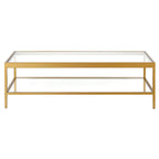 HomeRoots Clear And Gold Glass And Steel Coffee Table With Shelf - 54 X 17 X 24