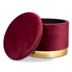 Marisa Glam and Luxe Upholstered Storage Ottoman
