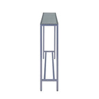 Ham Long Narrow Console Table with Mirrored Top
