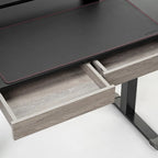 Eureka Ergonomic Home Office Electric Height Adjustable Standing Desk with 2 Drawers & Monitor Stand