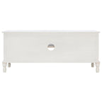 Ashlea 2 Door 1 Shelf Media Stand - 47 W x 16 D x 20 H - 47Wx16Dx20H