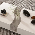 Luminous Chic: White Dual-Drawer Coffee Table with LED Display Top