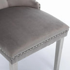 Velvet Upholstered Dining Chair with Nailhead Trim and Stainless Steel Silver Plated Leg Set of 2